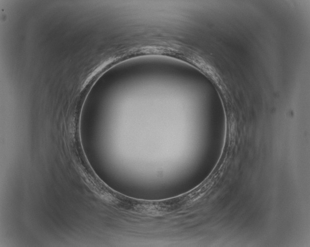 X0000083620297200702121147