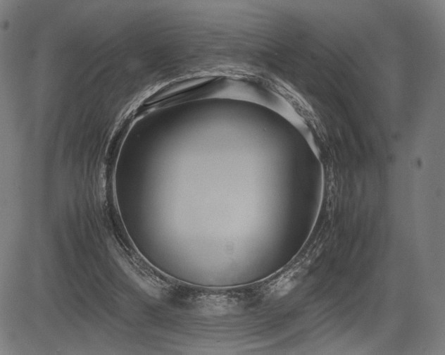X0000083620298200702121147