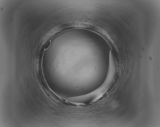 X0000083620299200702121147