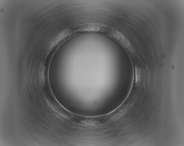 X0000083620300200702121147