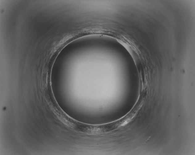 X0000083620301200702121147