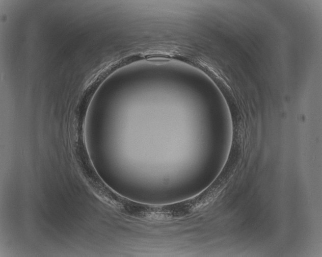 X0000083620303200702121147