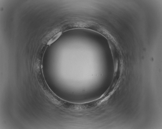 X0000083620305200702121147