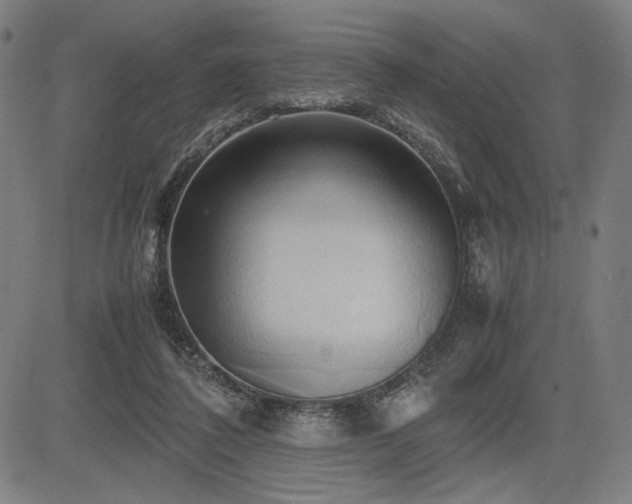 X0000083620308200702121147