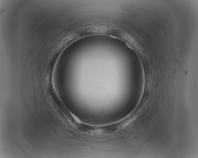 X0000083620309200702121147