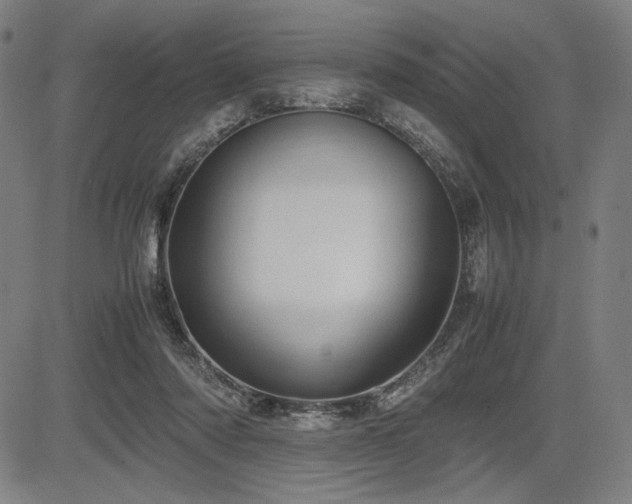 X0000083620310200702121147