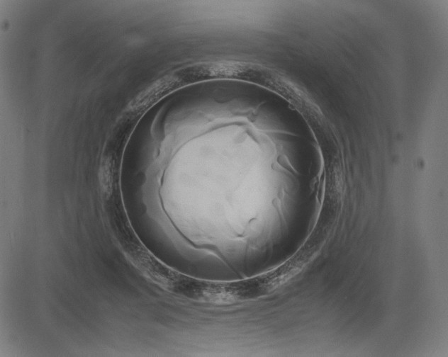 X0000083620311200702121147