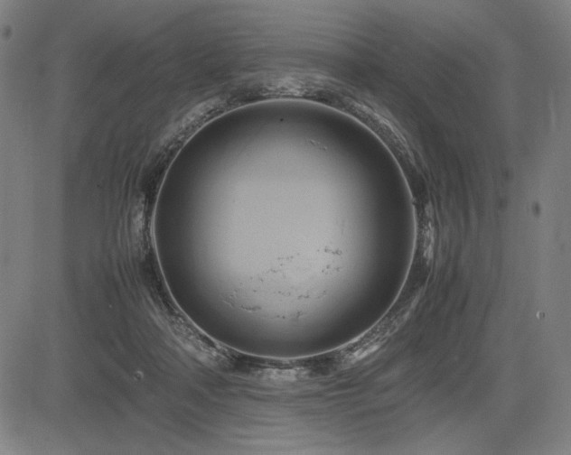 X0000083620314200702121147