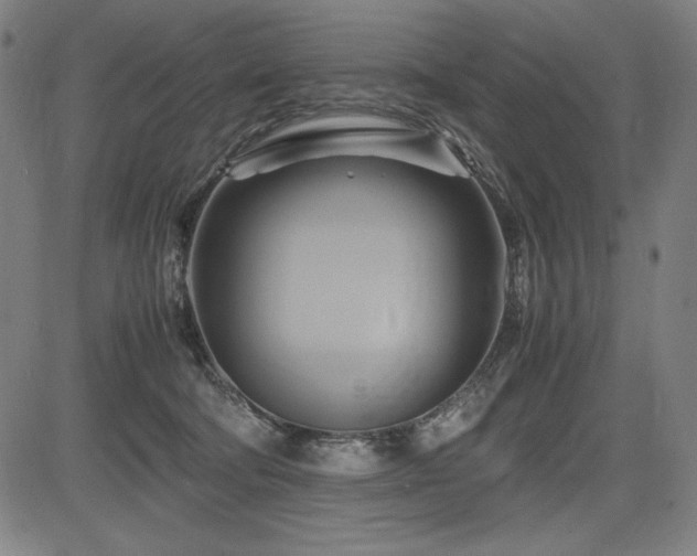 X0000083620322200702121147