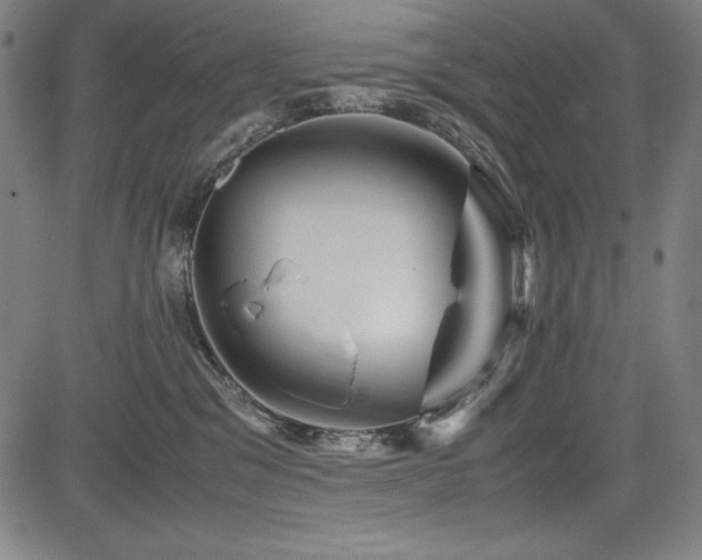 X0000083620329200702121147
