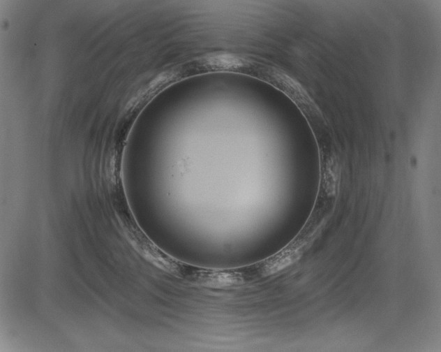 X0000083620330200702121147
