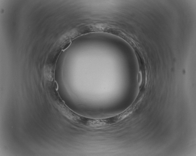 X0000083620331200702121147