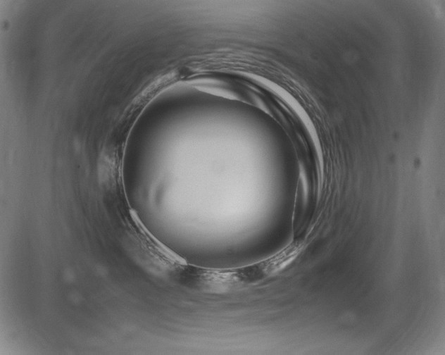 X0000083620333200702121147