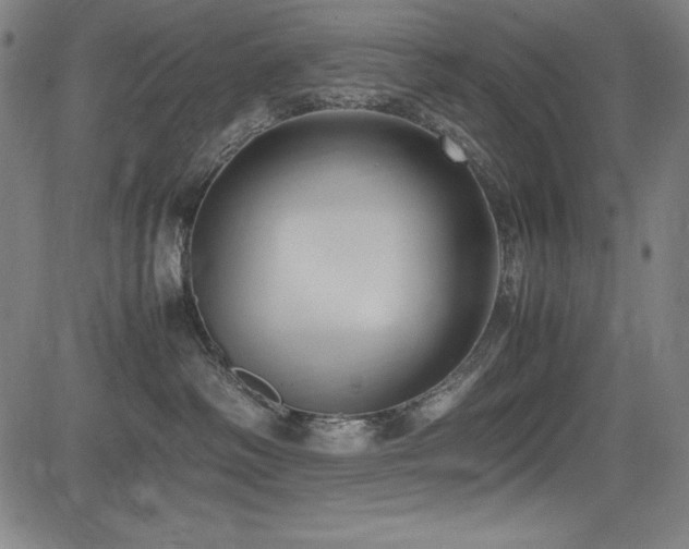 X0000083620334200702121147