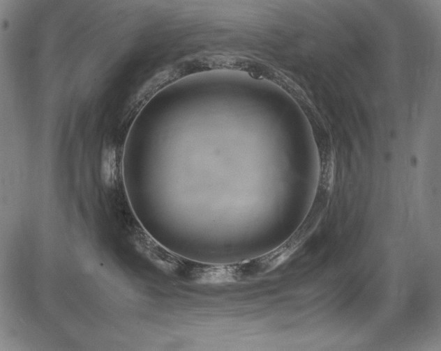 X0000083620335200702121147