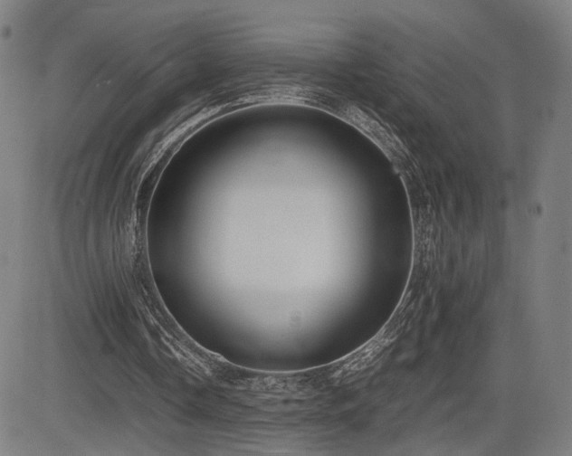 X0000083620338200702121146