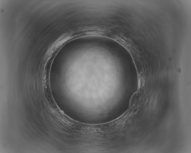 X0000083620339200702121146