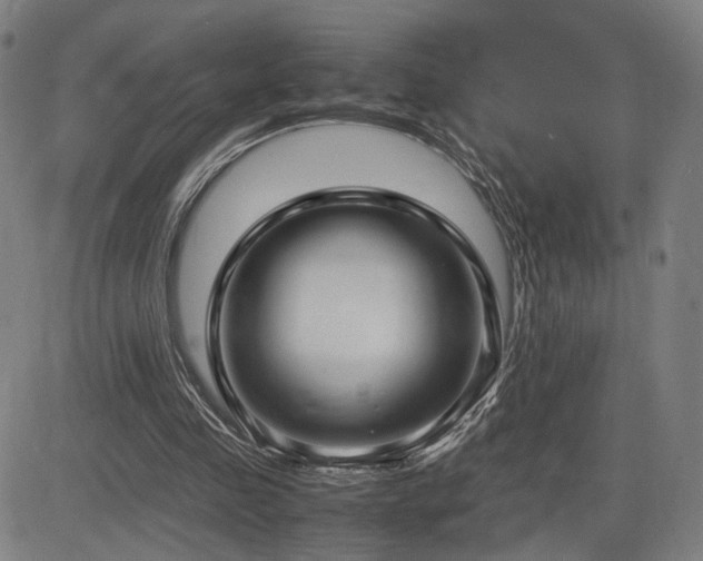 X0000083620341200702121146