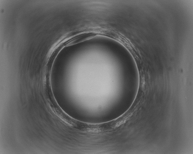 X0000083620344200702121146