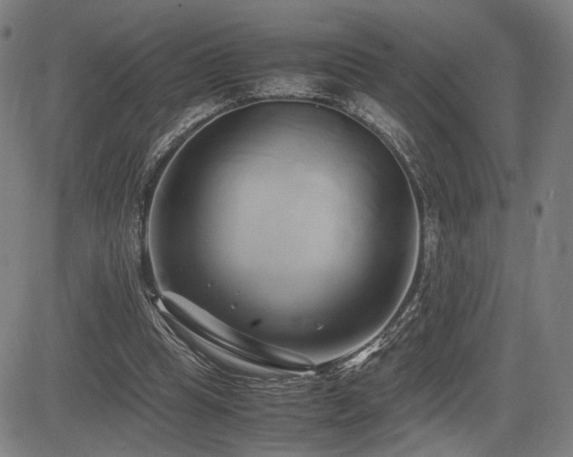 X0000083620345200702121146