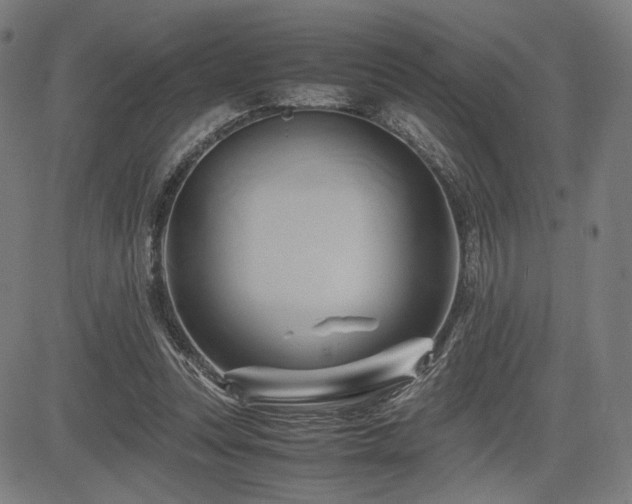 X0000083620351200702121146