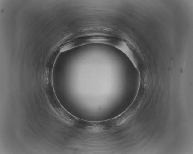 X0000083620356200702121146