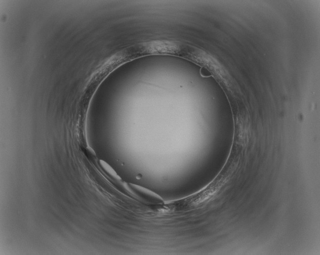 X0000083620357200702121146