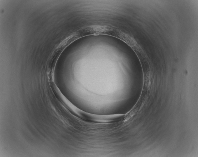 X0000083620360200702121146