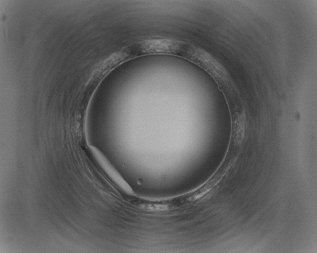 X0000083620361200702121146