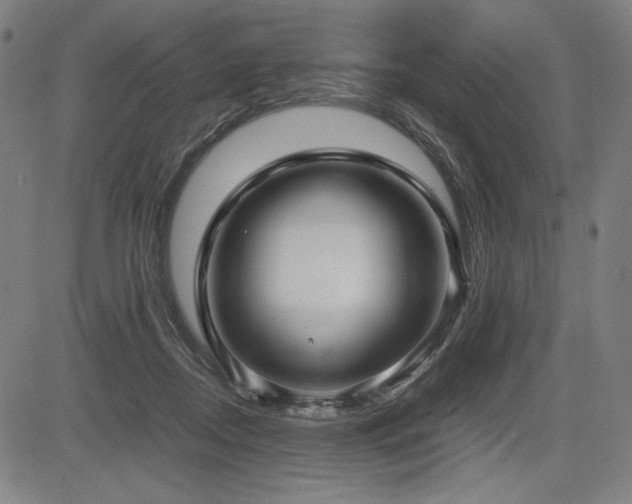 X0000083620362200702121146