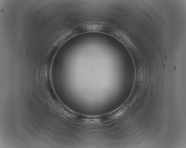 X0000083620363200702121146