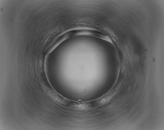 X0000083620365200702121146