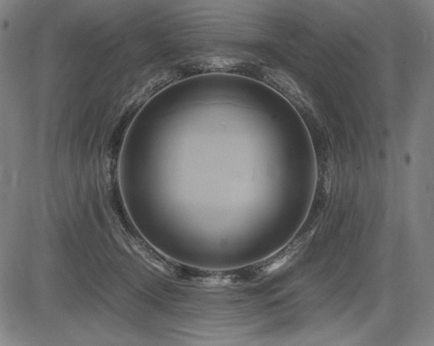 X0000083620366200702121146