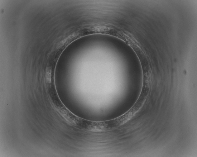 X0000083620368200702121146