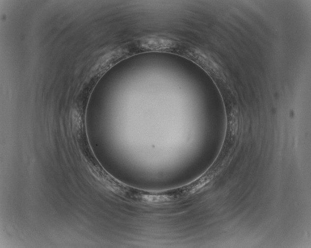 X0000083620371200702121146