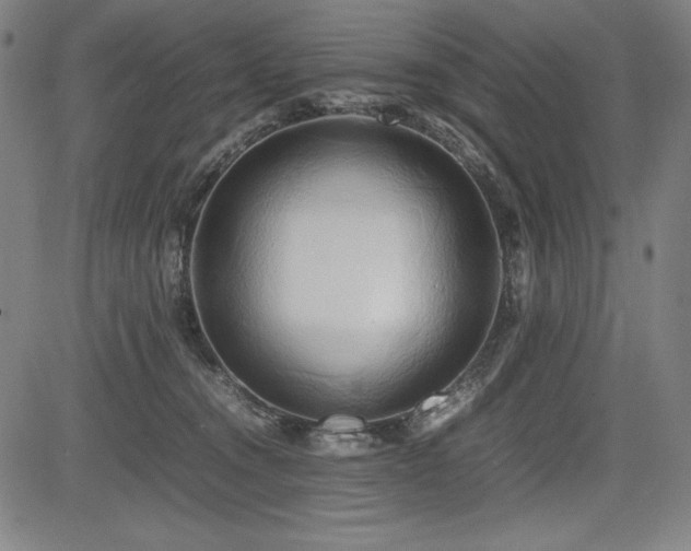 X0000083620372200702121146
