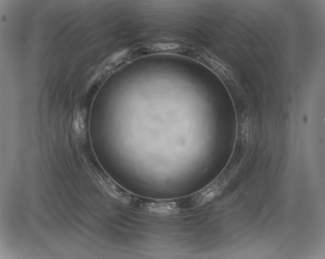 X0000083620373200702121146