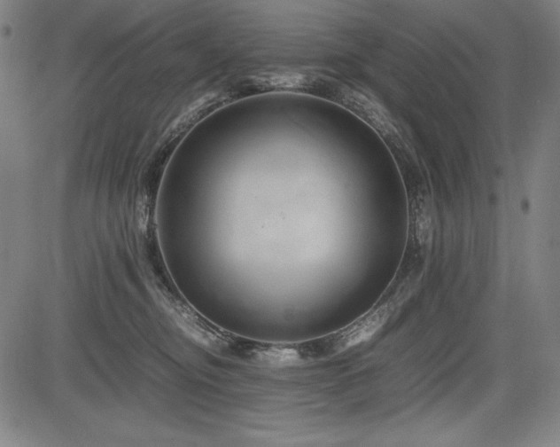 X0000083620374200702121146
