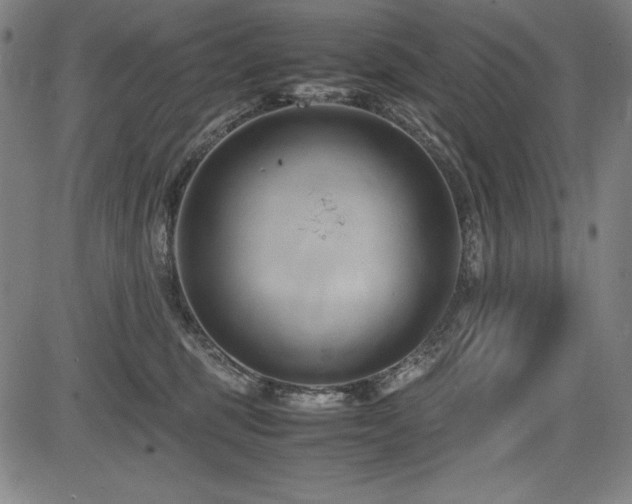X0000083620375200702121146
