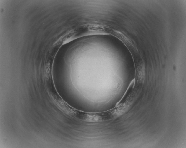X0000083620376200702121146