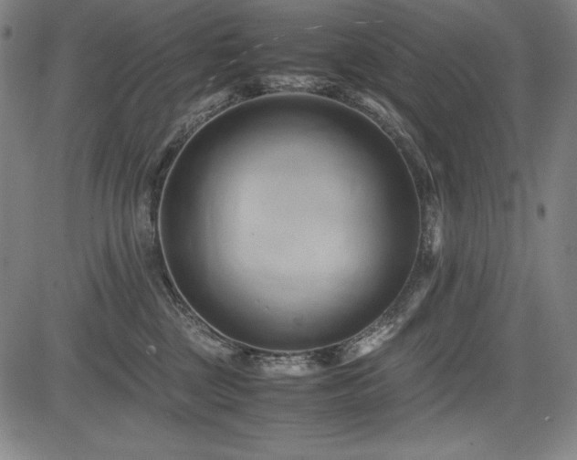 X0000083620377200702121146