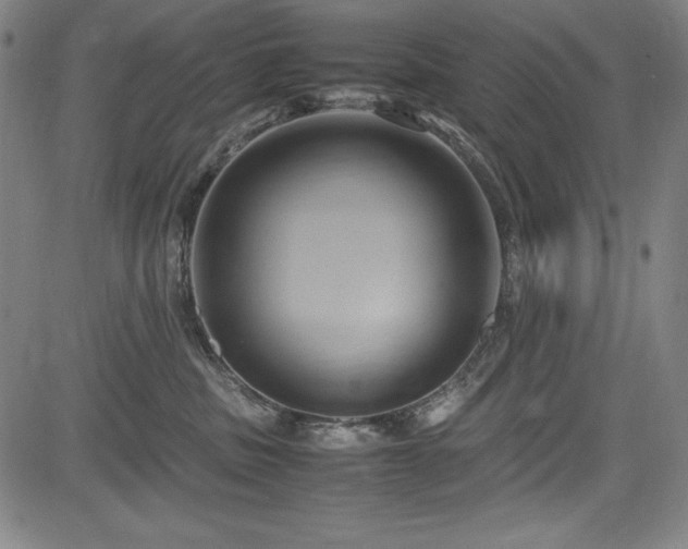 X0000083620379200702121146