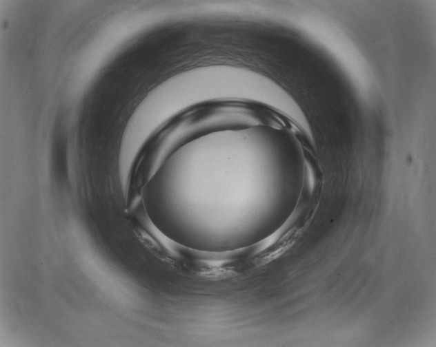 X0000083620382200702121146