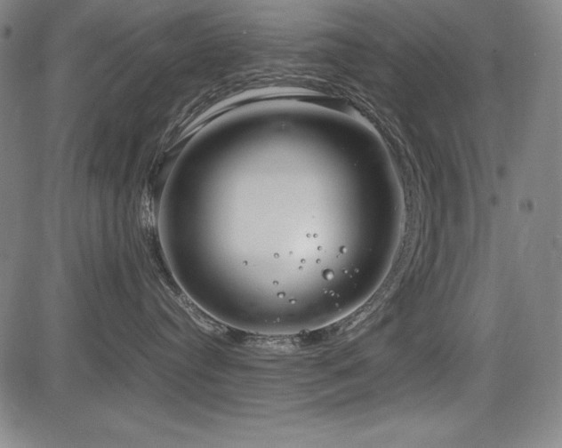 X0000083620384200702121146