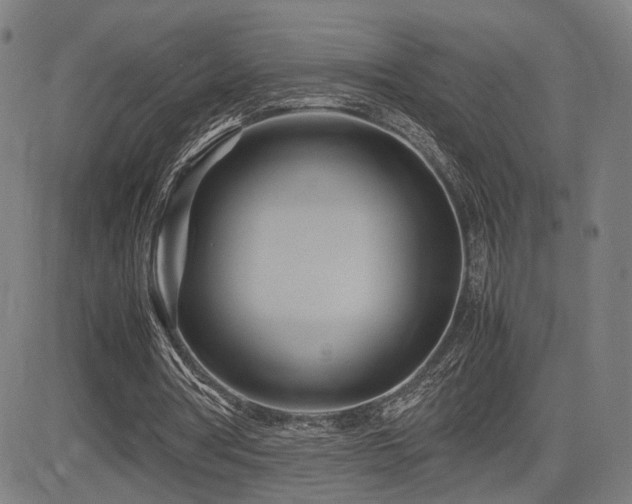 X0000083620386200702121146