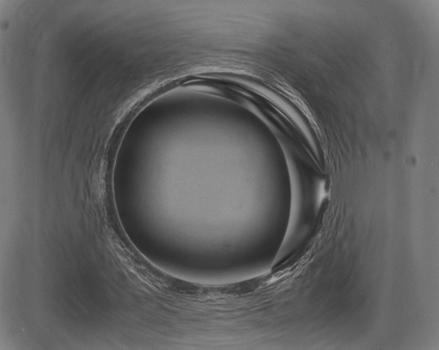 X0000083620387200702121146