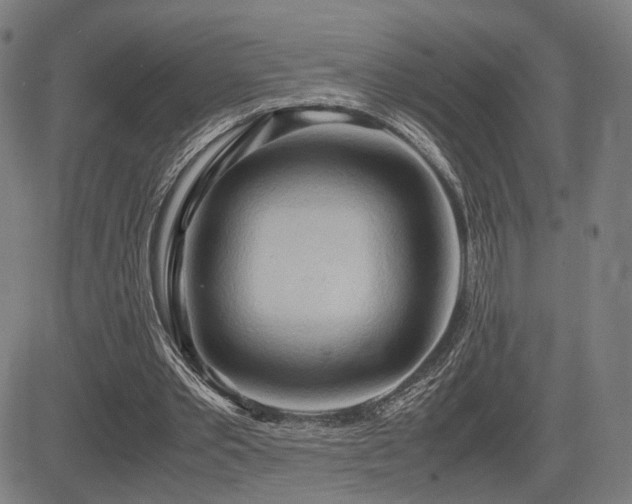 X0000083620389200702121146
