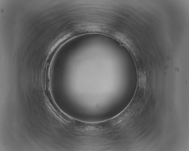 X0000083620390200702121146