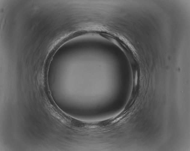 X0000083620391200702121146