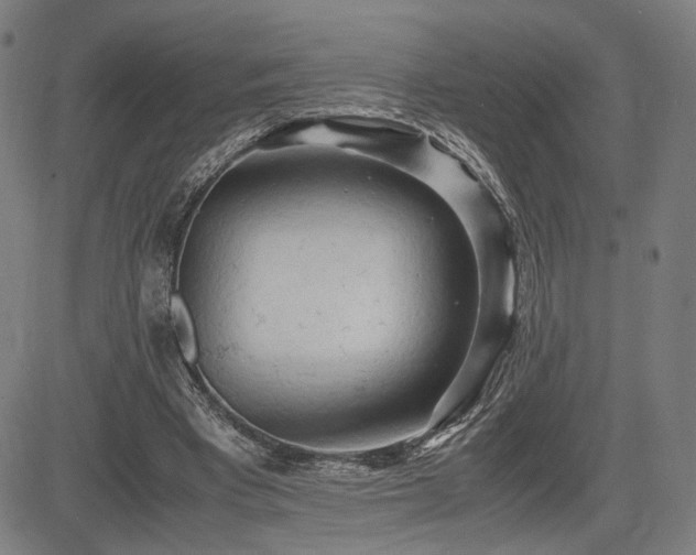 X0000083620393200702121146